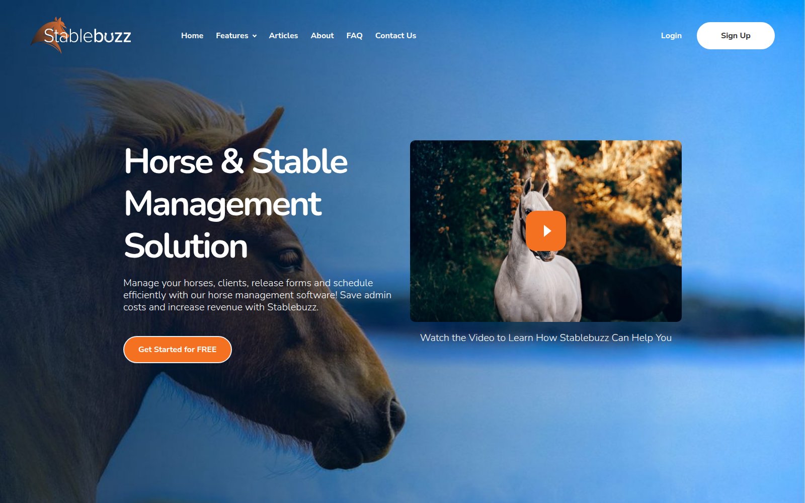 Stablebuzz